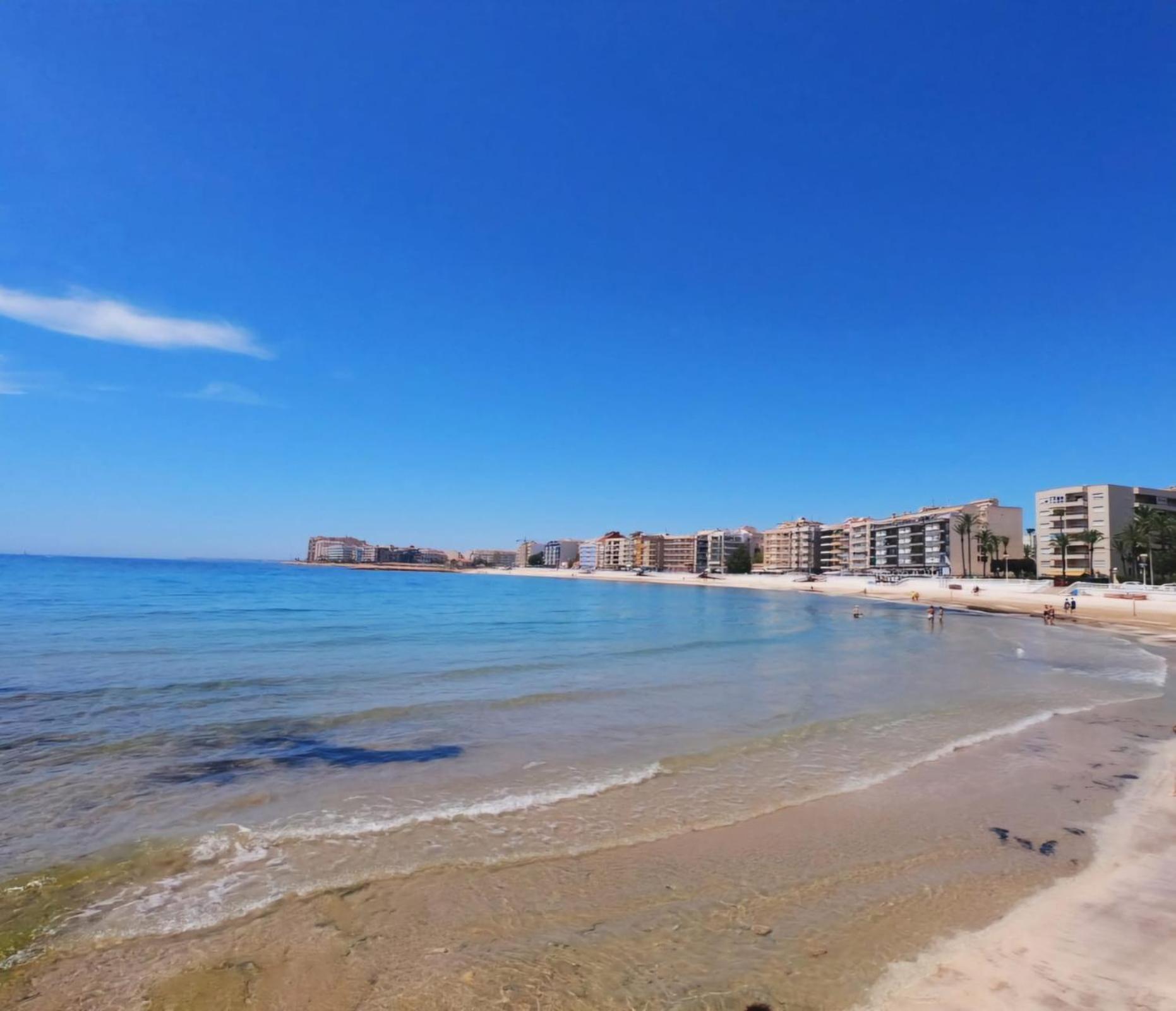 Solymar Torrevieja Leilighet Eksteriør bilde