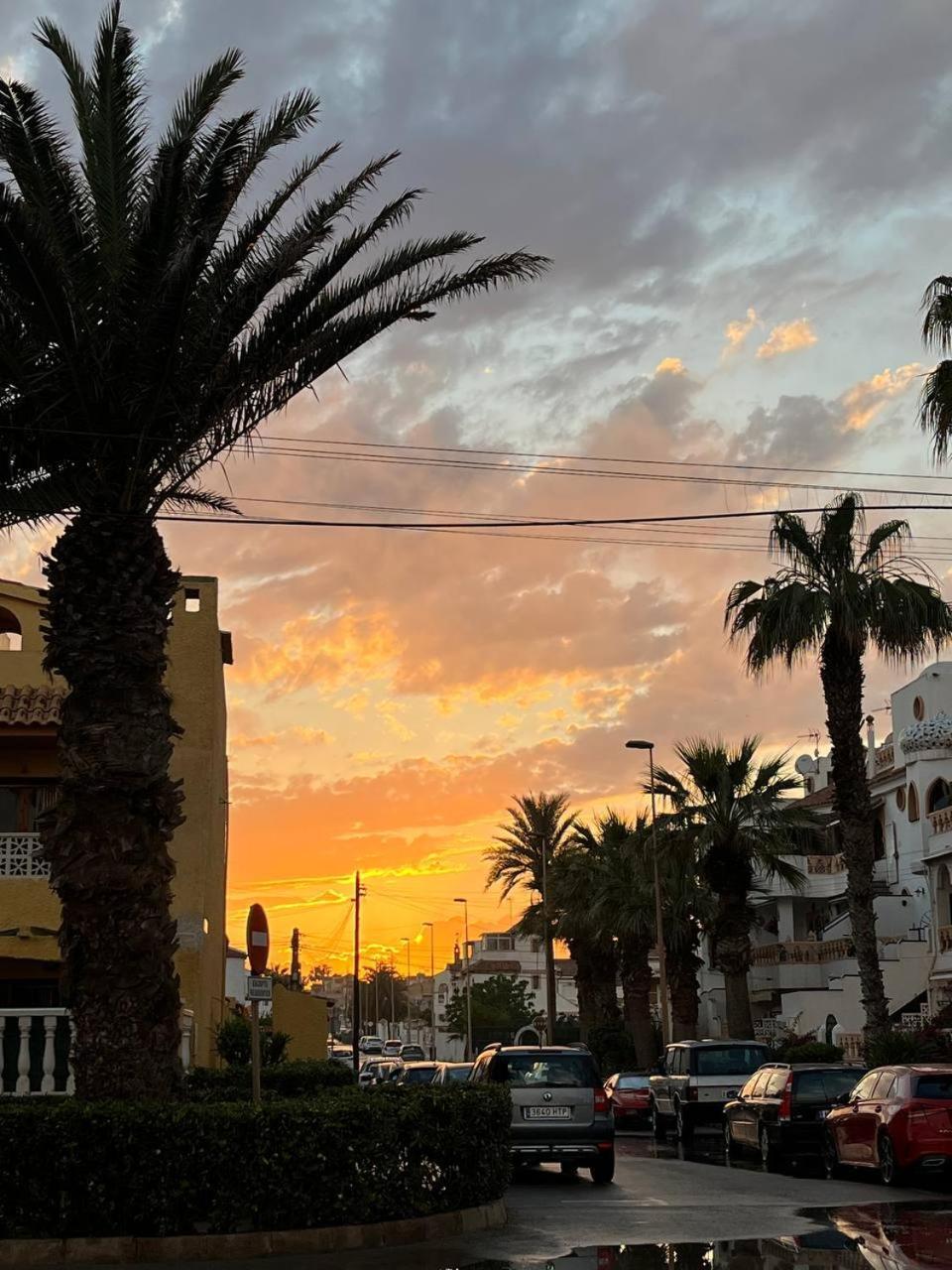 Solymar Torrevieja Leilighet Eksteriør bilde